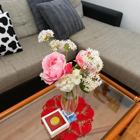 With A Parking Space - Diklo, - 22555 Apartman *